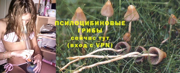героин Богданович